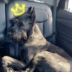 Meet your Posher, Sara